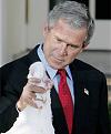 Click image for larger version

Name:	prez choke chicken.jpg
Views:	128
Size:	71.1 KB
ID:	9045161