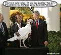 Click image for larger version

Name:	bush_turkey_cabinet_position.jpg
Views:	87
Size:	32.2 KB
ID:	9045169