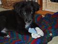 Click image for larger version

Name:	wyatt2005 041- resized.jpg
Views:	129
Size:	65.2 KB
ID:	9045475