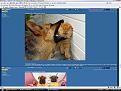 Click image for larger version

Name:	hmm.jpg
Views:	283
Size:	126.8 KB
ID:	9045686
