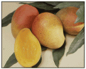 Click image for larger version

Name:	bowen.gif
Views:	124
Size:	15.6 KB
ID:	9045908