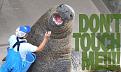 Click image for larger version

Name:	donttouchme.jpg
Views:	222
Size:	244.5 KB
ID:	9046244