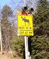 Click image for larger version

Name:	maine moose warning.jpg
Views:	132
Size:	202.0 KB
ID:	9046884