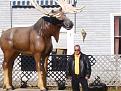 Click image for larger version

Name:	bruce-moose.jpg
Views:	161
Size:	108.6 KB
ID:	9046885