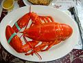 Click image for larger version

Name:	maine lobster-1.5 lb..jpg
Views:	178
Size:	90.9 KB
ID:	9046889