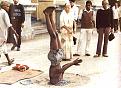 Click image for larger version

Name:	sadhu.jpg
Views:	140
Size:	40.3 KB
ID:	9047210