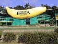 Click image for larger version

Name:	banana.jpg
Views:	155
Size:	48.5 KB
ID:	9047519