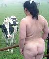 Click image for larger version

Name:	(_cow meets cow).jpg
Views:	312
Size:	64.2 KB
ID:	9050812