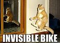 Click image for larger version

Name:	invisiblebike.jpg
Views:	283
Size:	54.0 KB
ID:	9050964