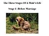 Click image for larger version

Name:	maleslife-1.jpg
Views:	181
Size:	75.2 KB
ID:	9051027