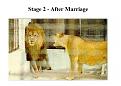 Click image for larger version

Name:	maleslife-2.jpg
Views:	179
Size:	78.1 KB
ID:	9051028