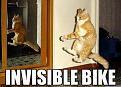 Click image for larger version

Name:	invisiblebikea.jpg
Views:	569
Size:	33.4 KB
ID:	9051120