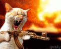 Click image for larger version

Name:	avatar25.gif
Views:	117
Size:	41.0 KB
ID:	9051844