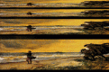 Click image for larger version

Name:	titlex.gif
Views:	138
Size:	155.9 KB
ID:	9052988