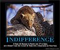 Click image for larger version

Name:	indifference.jpg
Views:	130
Size:	46.8 KB
ID:	9053024