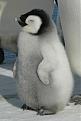 Click image for larger version

Name:	281.jpg
Views:	103
Size:	48.3 KB
ID:	9053996