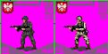 Click image for larger version

Name:	polish_army_modern.png
Views:	868
Size:	4.1 KB
ID:	9054311