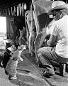 Click image for larger version

Name:	gotmilk.jpg
Views:	203
Size:	37.2 KB
ID:	9059274