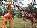 Click image for larger version

Name:	photos 2007 5 of 30.jpg
Views:	251
Size:	282.2 KB
ID:	9059724