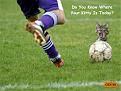 Click image for larger version

Name:	soccerkitty1a.jpg
Views:	234
Size:	50.8 KB
ID:	9059774