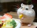 Click image for larger version

Name:	isthisnonfattening.jpg
Views:	274
Size:	85.6 KB
ID:	9060541