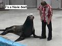 Click image for larger version

Name:	navyseal1.jpg
Views:	351
Size:	40.8 KB
ID:	9060579