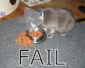 Click image for larger version

Name:	fail.jpg
Views:	153
Size:	48.3 KB
ID:	9061596