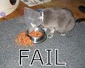 Click image for larger version

Name:	fail.jpg
Views:	137
Size:	48.3 KB
ID:	9061596