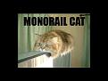 Click image for larger version

Name:	monorail.jpg
Views:	131
Size:	21.4 KB
ID:	9061606