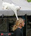 Click image for larger version

Name:	catgrabber.jpg
Views:	122
Size:	30.2 KB
ID:	9061868