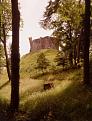 Click image for larger version

Name:	okehamptoncastle.jpg
Views:	90
Size:	39.0 KB
ID:	9061960