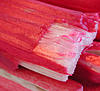 Click image for larger version

Name:	rhubarb_closeup.jpg
Views:	137
Size:	23.8 KB
ID:	9061978