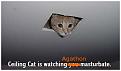 Click image for larger version

Name:	agathe.jpg
Views:	137
Size:	19.6 KB
ID:	9062331