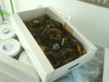 Click image for larger version

Name:	hummer.gif
Views:	243
Size:	294.9 KB
ID:	9062470