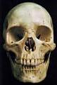 Click image for larger version

Name:	skull.jpg
Views:	317
Size:	2.9 KB
ID:	9063531