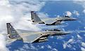 Click image for larger version

Name:	soaring_eagles_resized.jpg
Views:	273
Size:	42.3 KB
ID:	9063635
