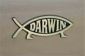 Click image for larger version

Name:	darwin.jpg
Views:	139
Size:	11.8 KB
ID:	9063975
