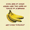 Click image for larger version

Name:	bananas.jpg
Views:	199
Size:	44.2 KB
ID:	9067314