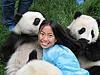 Click image for larger version

Name:	panda picture, small.jpg
Views:	343
Size:	85.8 KB
ID:	9067365
