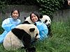 Click image for larger version

Name:	panda picture 2, small.jpg
Views:	342
Size:	105.6 KB
ID:	9067366