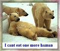 Click image for larger version

Name:	lazy bears.jpg
Views:	160
Size:	79.9 KB
ID:	9067547