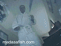 Click image for larger version

Name:	kittenhuffing.gif
Views:	389
Size:	239.7 KB
ID:	9067562
