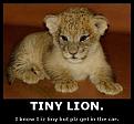 Click image for larger version

Name:	0007ya2z.jpg
Views:	143
Size:	114.4 KB
ID:	9067663