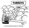 Click image for larger version

Name:	dec_21%20turkeys.jpg
Views:	124
Size:	34.9 KB
ID:	9067673