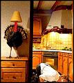 Click image for larger version

Name:	christmasturkeyf.jpg
Views:	132
Size:	44.9 KB
ID:	9067686