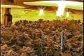 Click image for larger version

Name:	20070118-cria-photo-2.jpg
Views:	146
Size:	53.5 KB
ID:	9067840