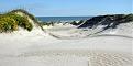 Click image for larger version

Name:	290px-padre_island_national_seashore_-_sand_dunes3.jpg
Views:	248
Size:	9.5 KB
ID:	9067846