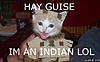 Click image for larger version

Name:	indian_cat.jpg
Views:	266
Size:	27.4 KB
ID:	9067874