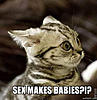 Click image for larger version

Name:	sex_makes_babies.jpg
Views:	271
Size:	52.2 KB
ID:	9067877