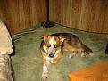 Click image for larger version

Name:	charlie1.jpg
Views:	124
Size:	74.1 KB
ID:	9068471